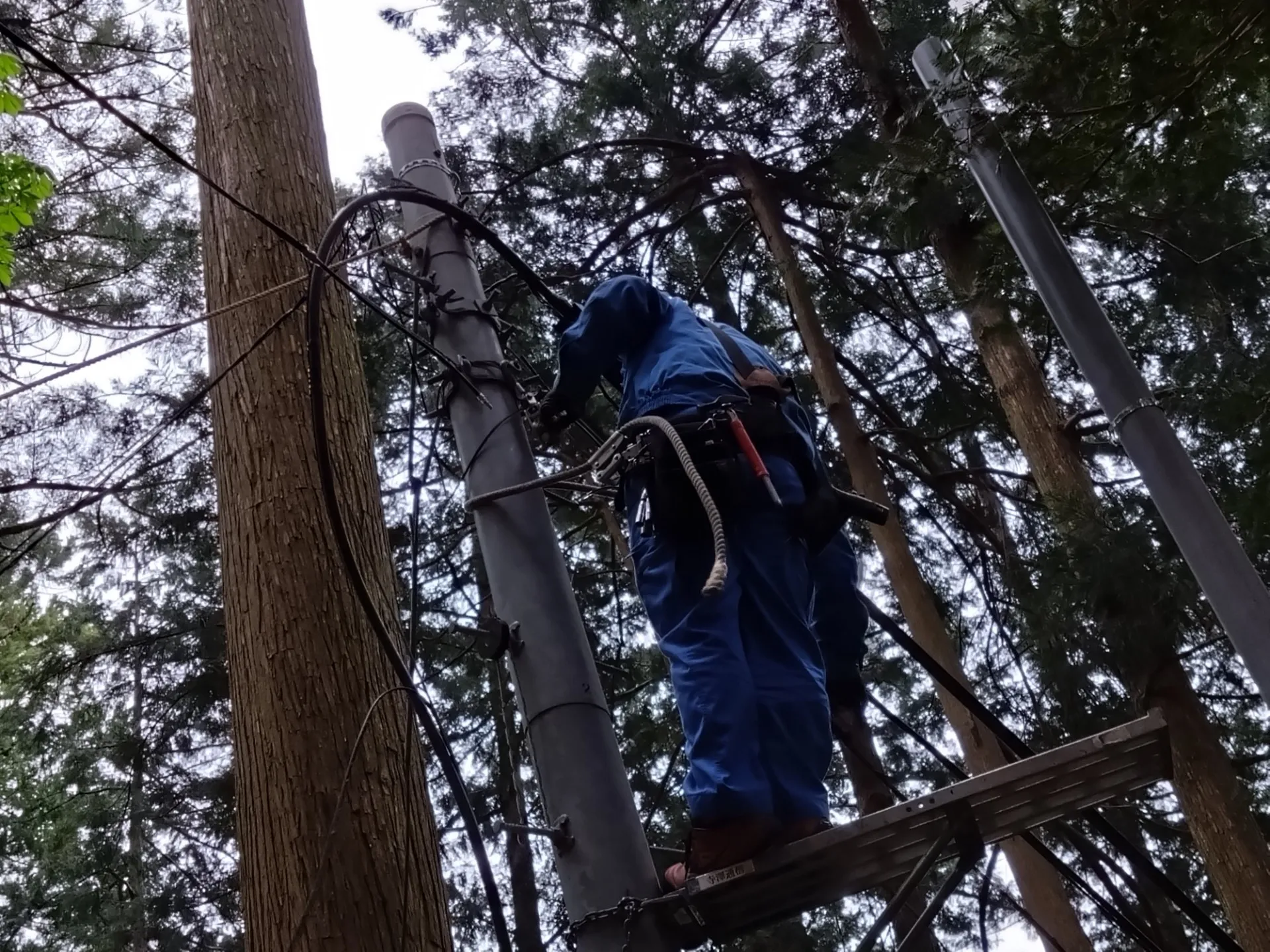 某山中にてテレビ共聴ケーブルもりかえ復旧工事